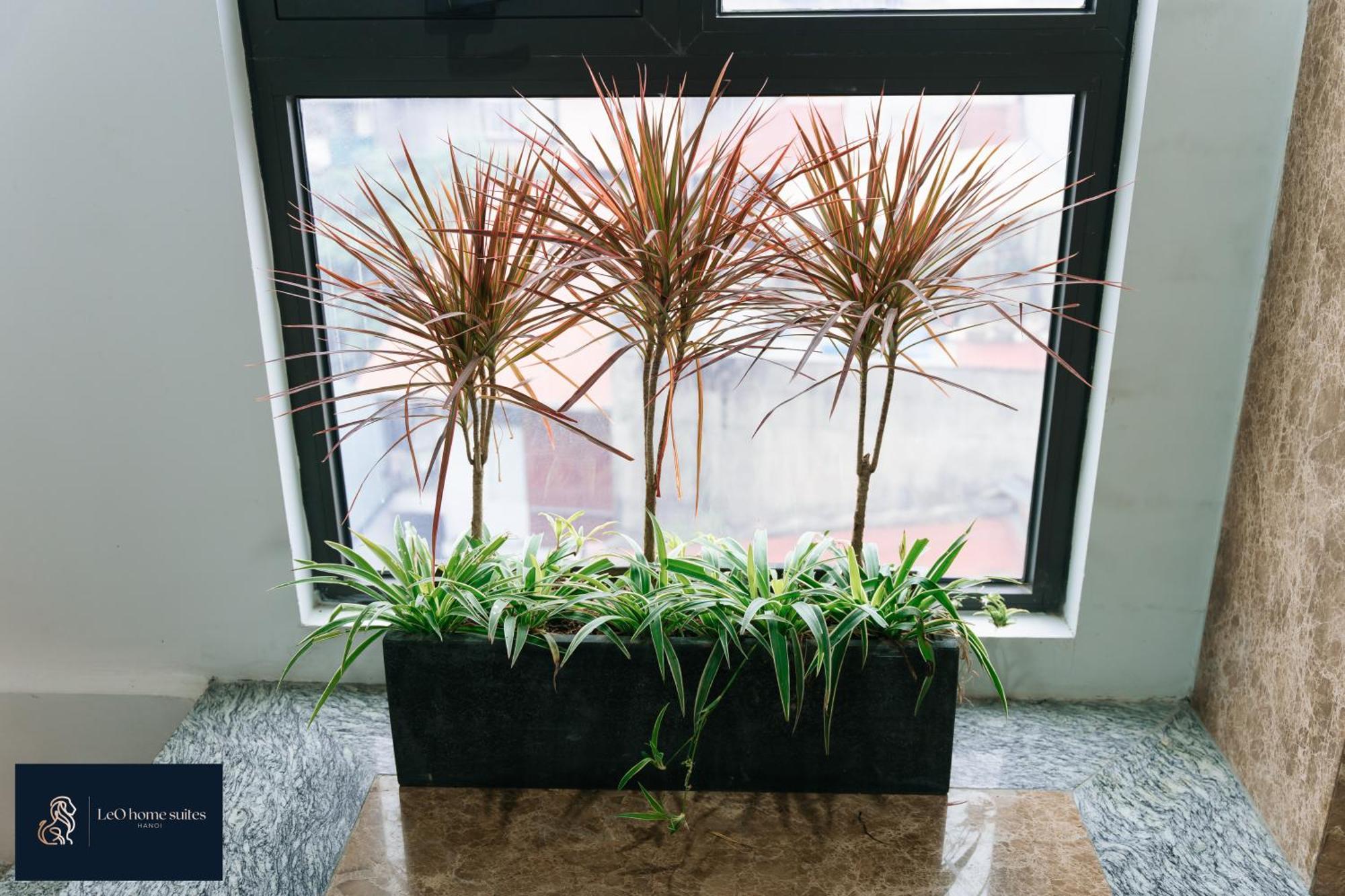 Home Suites -Natural Light -Projector -Spacious - 2Br Incenter 河内 外观 照片