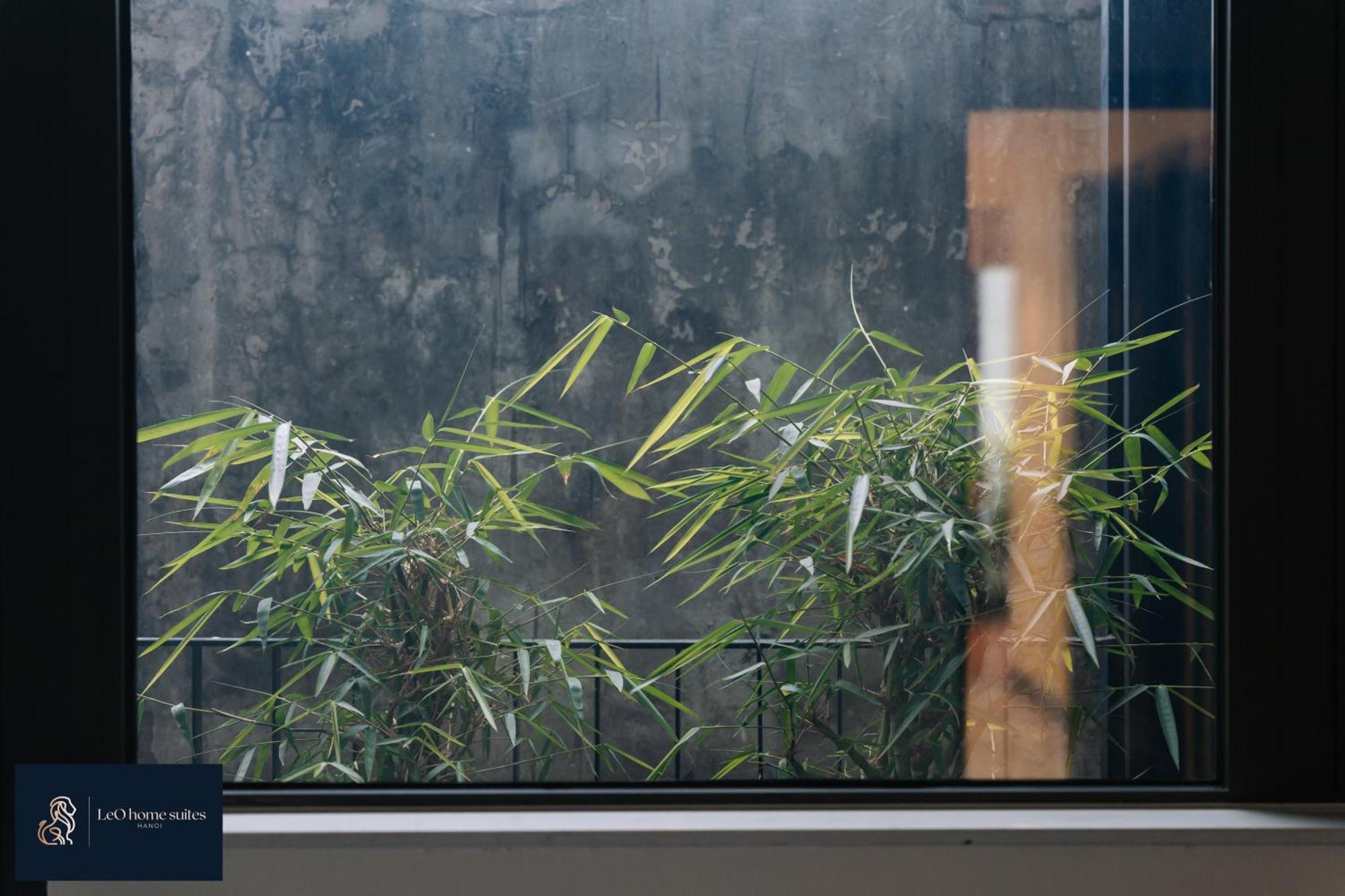 Home Suites -Natural Light -Projector -Spacious - 2Br Incenter 河内 外观 照片